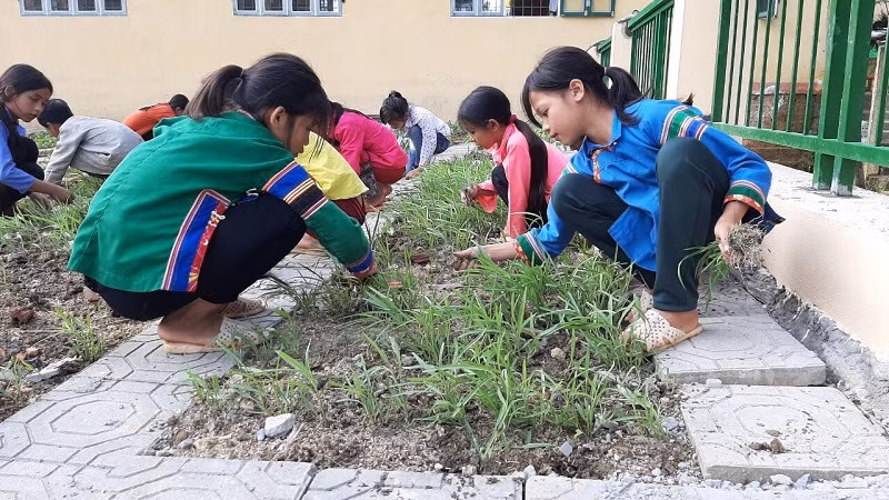 Học sinh Trường PTDTBT Tiểu học Nậm Chảy (Mường Khương, Lào Cai). Ảnh: NTCC