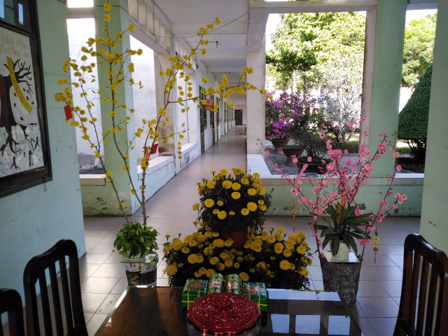 Khung cảnh rực rỡ của Trường THPT Phú Điền đón Tết. Khung cảnh rực rỡ của Trường THPT Phú Điền đón Tết.