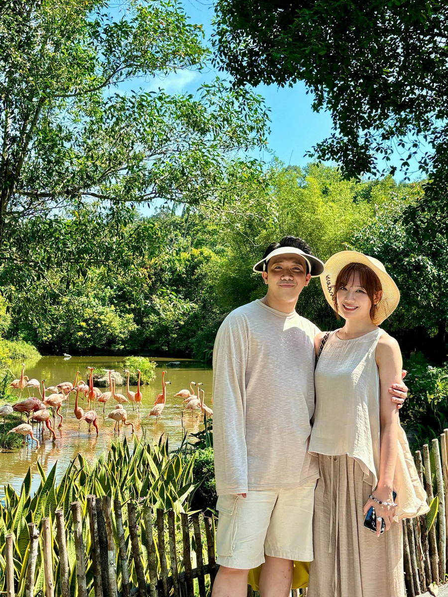 Cuộc hôn nhân của Hari Won và Trấn Thành luôn là đề tài bàn tán của cư dân mạng. Cuộc hôn nhân của Hari Won và Trấn Thành luôn là đề tài bàn tán của cư dân mạng.