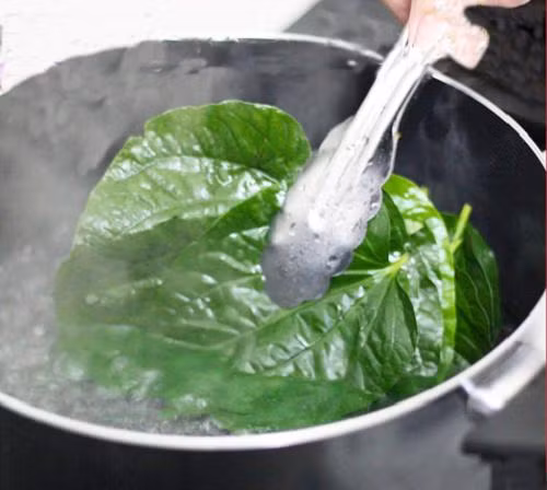 Biết được những tác dụng tuyệt vời này, bạn sẽ trồng ngay 1 cây lá lốt trong nhà ảnh 2