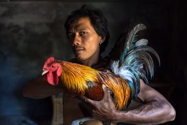 Một bức ảnh khác đem đến chiến thắng cho Ruben thể loại ảnh chân dung - cuộc thi ảnh quốc tế Sony