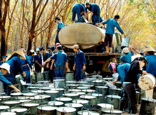 Xử lý sau thanh tra tại Tập đoàn công nghiệp Cao su Việt Nam