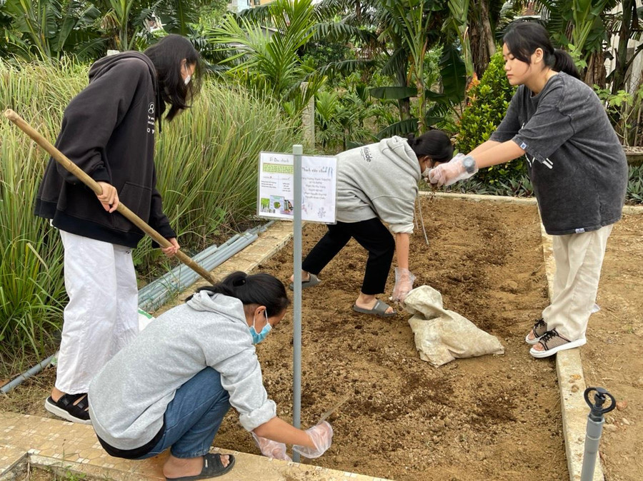 Cải tạo đất bằng các loại phân bón hữu cơ tự ủ là cách làm được các nhóm học sinh tham gia dự án học tập của Trường THPT Bình Sơn (Quảng Ngãi) chú trọng.