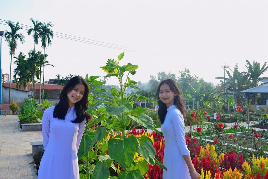 Ngoài trồng các loại rau, củ hữu cơ, một số nhóm học sinh chọn trồng các loại hoa như cúc, thược dược, hướng dương... để thực hiện dự án học tập.