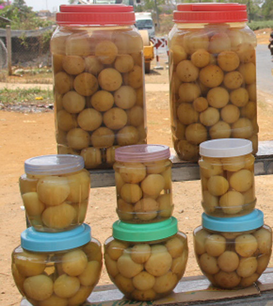 Một hũ chanh muối đạt chuẩn phải đảm bảo yêu cầu có mùi thơm đặc trưng, để hàng năm trời vẫn không sao. chanh