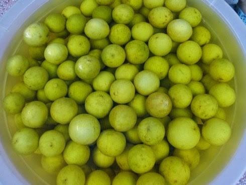 Ngâm chanh trong nước phèn chua nguội nửa ngày, vớt ra để ráo. chanh