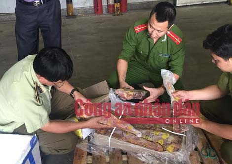 Lực lượng chức năng kiểm tra lô hàng thịt trâu Ấn Độ đông lạnh giả thịt bò nhập khẩu Lực lượng chức năng kiểm tra lô hàng thịt trâu Ấn Độ đông lạnh giả thịt bò nhập khẩu