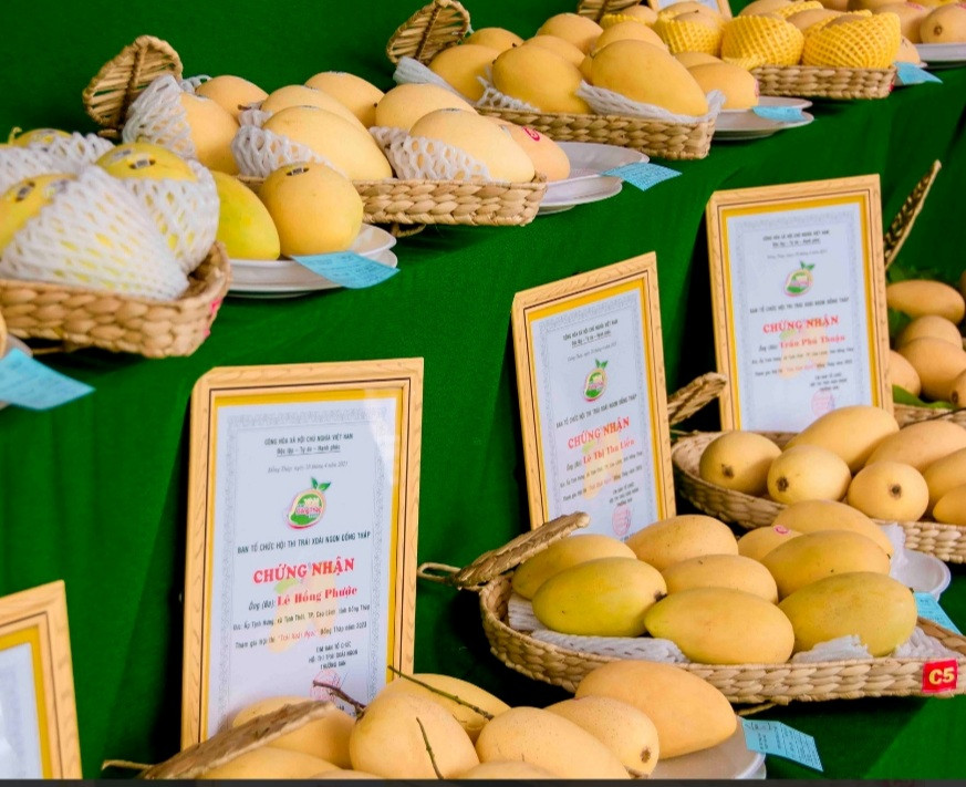 Đồng Tháp tổ chức Hội thi 'Trái xoài ngon’ năm 2023 ảnh 2 Đồng Tháp tổ chức Hội thi 'Trái xoài ngon’ năm 2023 ảnh 2