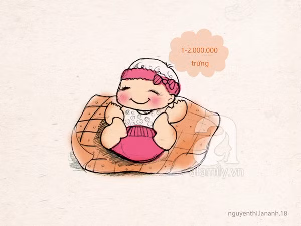 10 điều đặc biệt về trứng và ngày rụng trứng chị em cần biết 2