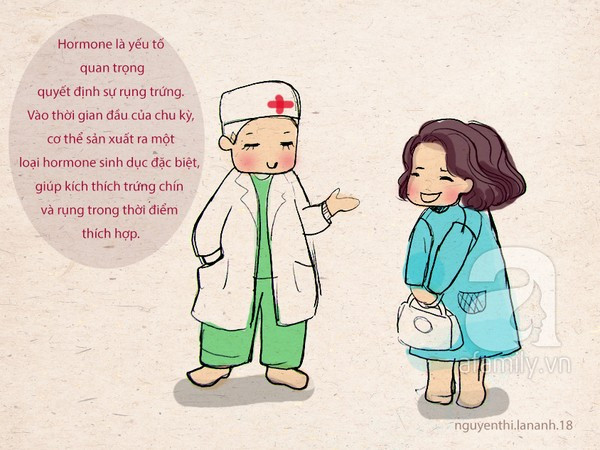 10 điều đặc biệt về trứng và ngày rụng trứng chị em cần biết 9