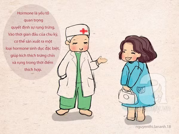 10 điều đặc biệt về trứng và ngày rụng trứng chị em cần biết 9