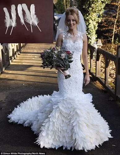 Chiếc váy cưới làm từ 22.000 chiếc lông ngỗng