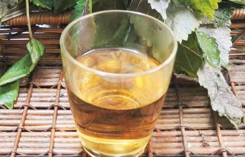 Uống nước lá tía tô tươi và mật ong cực kỳ tốt cho sức khỏe của người thừa cân, béo phì - Ảnh: Internet