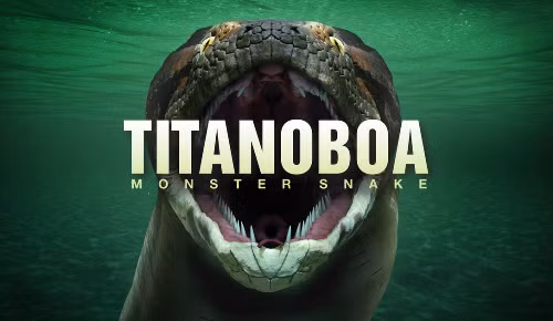 Sự thật về quái vật rắn khổng lồ Titanoboa có thể xơi tái cá sấu