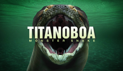 Sự thật về quái vật rắn khổng lồ Titanoboa có thể xơi tái cá sấu ảnh 1 Quái vật Titanoboa - Loài rắn khổng lồ nhất trong lịch sử Trái đất