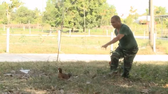 Bố ơi mình đi đâu thế và những pha hài hước của các ông bố