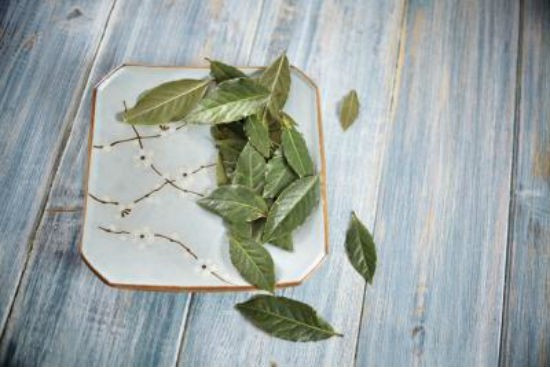 2. Lá nguyệt quế: Đây là loại lá cứng, lớn được sử dụng làm gia vị phổ biến cho các món ăn. Lá nguyệt quế có mùi hương rất nhẹ đối với con người, nhưng lại khiến loài gián tránh xa. Gia vị này có bán sẵn ở các cửa hàng tạp hóa, có thể đặt ở một vài khu vực để ngăn chặn gián như vách, vết nứt trên tường. Bạn cũng có thể xay lá nguyệt quế tươi hoặc khô thành bột mịn để sử dụng dần. 2. Lá nguyệt quế: Đây là một loại lá cứng, lớn được sử dụng làm gia vị phổ biến cho các món ăn. Lá nguyệt quế có mùi hương rất nhẹ đối với con người, nhưng lại khiến gián tránh xa. Gia vị này có bán sẵn ở các cửa hàng tạp hóa, có thể đặt ở một vài khu vực để ngăn chặn gián như vách tường, vết nứt trên tường. Bạn cũng có thể xay lá nguyệt quế tươi hoặc khô thành bột mịn để sử dụng dần.