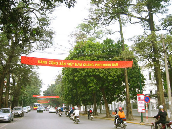 Những hàng cây tuyệt đẹp ở Hà Nội sắp chỉ còn trong ký ức? ảnh 7 cay-12-tran-hung-dao-9259-1426759562.jpg