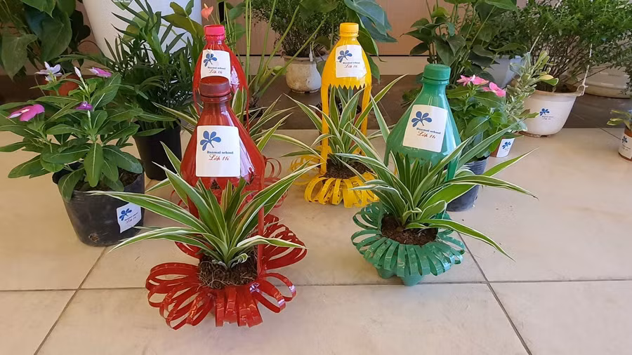 Những cây xanh xinh xắn cùng thầy trò Trường THCS-THPT Ban Mai đón năm học mới