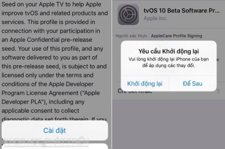 Hướng dẫn tắt thông báo cập nhật iOS trên iPhone, iPad, iPod - Ảnh 3 Huong dan tat thong bao cap nhat iOS tren iPhone, iPad, iPod - Anh 3