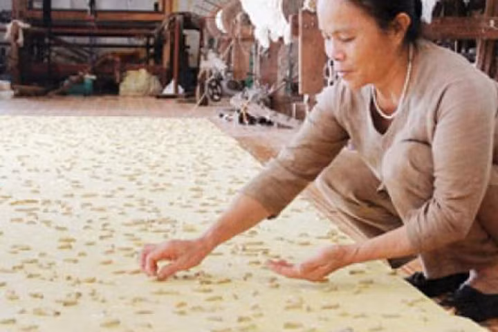 Người "huấn luyện" hàng tỷ con tằm thành... thợ dệt