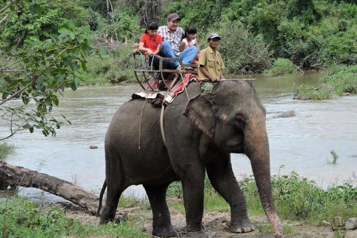 Hàng nghìn du khách đến Buôn Đôn cưỡi voi