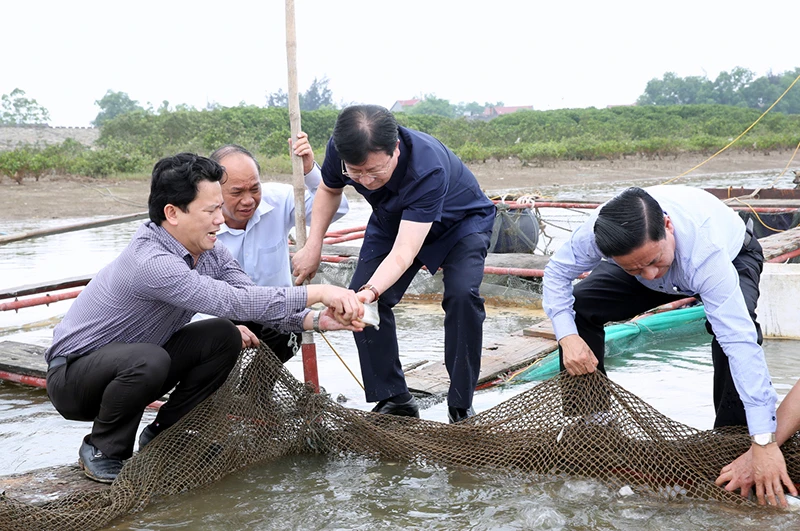 Phó Thủ tướng Trịnh Đình Dũng yêu cầu kiểm tra làm rõ nguyên nhân trên cơ sở khoa học, thận trọng nhưng phải nhanh nhất, sớm nhất.