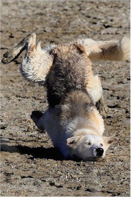 "Tức ngực" với những khoảnh khắc "thốn" nhất quả đất ảnh 11