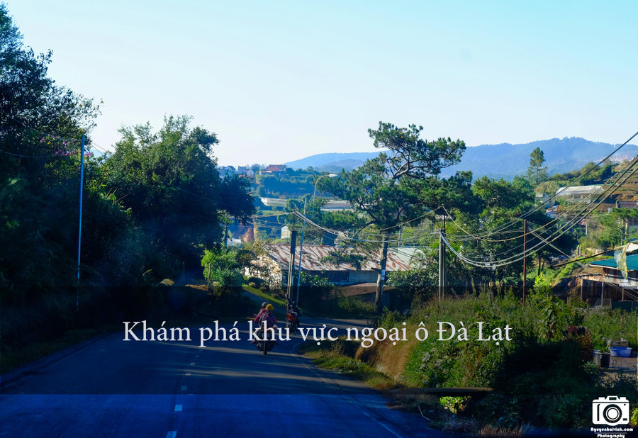 Phóng xe máy ra vùng ngoại ô của Đà Lạt, nơi có những cảnh đẹp khó có thể diễn tả bằng lời. Rất dễ thuê xe máy Đà Lạt, hầu như khách sạn nào cũng có dịch vụ này. Hoặc các bạn ra chợ Đà Lạt, có nhiều chỗ cho thuê lắm. Phóng xe máy ra vùng ngoại ô của Đà Lạt, nơi có những cảnh đẹp khó có thể diễn tả bằng lời. Rất dễ thuê xe máy Đà Lạt, hầu như khách sạn nào cũng có dịch vụ này. Hoặc các bạn ra chợ Đà Lạt, có nhiều chỗ cho thuê lắm.