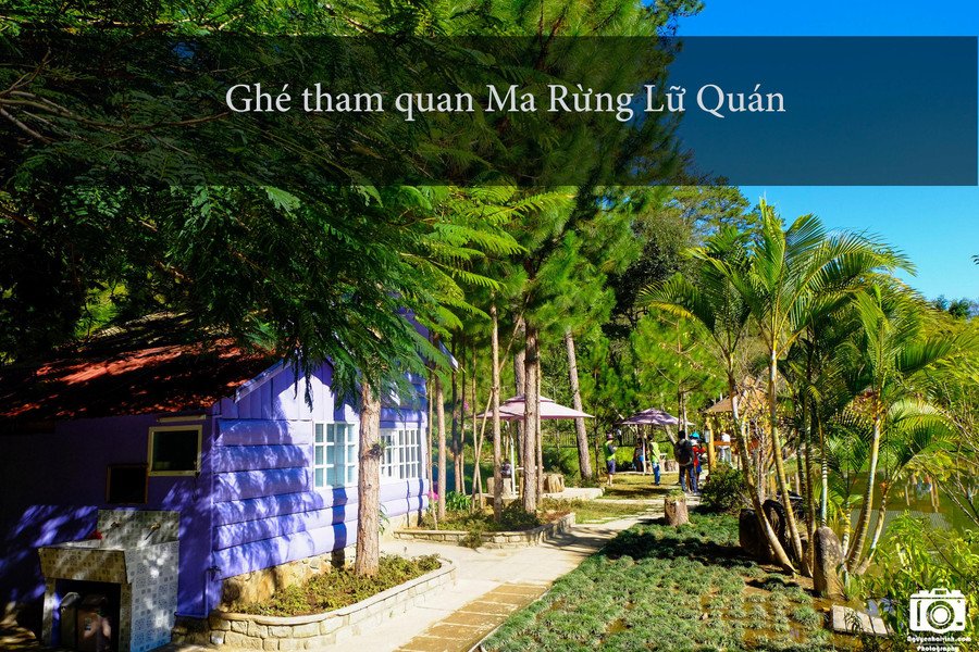 Từ trung tâm thành phố các bạn đi về hướng Thung Lũng Vàng, tới một ngã ba rất lớn, nếu rẽ phải sẽ đi làng Cù Lần, hồ Dankia, rẽ trái sẽ đi Ma Rừng lữ quán. Từ ngã ba này, đi thêm chừng 5 km sẽ thấy biển báo bên phải, đi theo lối đó xuống một thung lũng, gần cuối đường là tới. Từ trung tâm thành phố các bạn đi về hướng Thung Lũng Vàng, tới một ngã ba rất lớn, nếu rẽ phải sẽ đi làng Cù Lần, hồ Dankia, rẽ trái sẽ đi Ma Rừng lữ quán. Từ ngã ba này, đi thêm chừng 5 km sẽ thấy biển báo bên phải, đi theo lối đó xuống một thung lũng, gần cuối đường là tới.