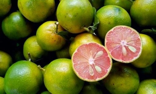 Cách ngâm chanh đào mật ong trị ho cực hiệu quả ngay tại nhà
