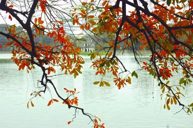 Ảnh minh họa Internet.