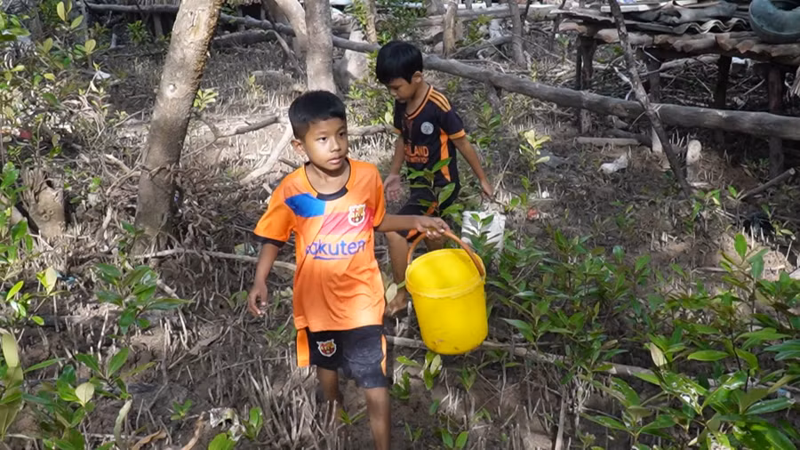 Trẻ em vào rừng bắt cua, ốc.