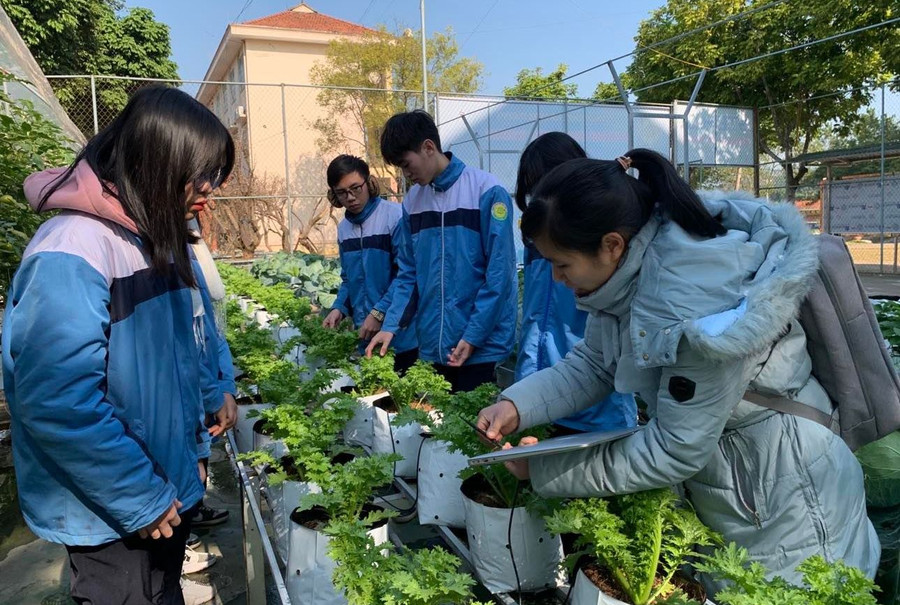 Học sinh Trường THPT chuyên Lào Cai thực hành tại vườn Stem. Ảnh: Đức Trí Học sinh Trường THPT chuyên Lào Cai thực hành tại vườn Stem. Ảnh: Đức Trí