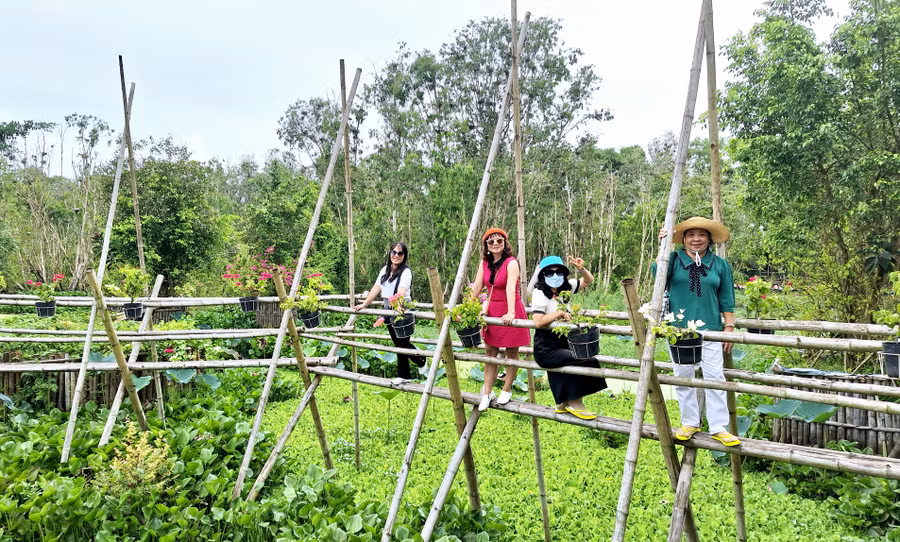 Du khách rất thích thú trước không gian xanh mát tại rừng tràm Trà Sư (TX Tịnh Biên, An Giang).