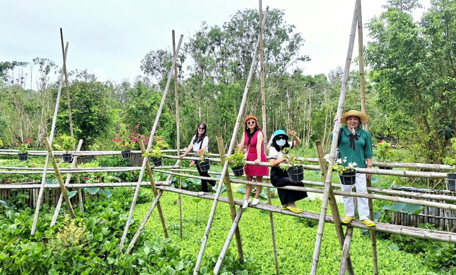 Du khách rất thích thú trước không gian xanh mát tại rừng tràm Trà Sư (TX Tịnh Biên, An Giang).
