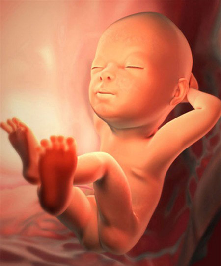 Trong bụng mẹ, thai nhi không chỉ nằm im chờ ngày chào đời mà rất hiếu động. Ảnh minh họa