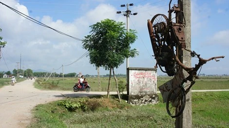 Mặc dù hai năm nay người dân bắt và đốt xe kẻ trộm chó rồi treo lên trên cột điện đầu đường dẫn vào làng ở xã Công Thành (Yên Thành, Nghệ An) để thị uy và răn đe, nhưng Đương và Cương vẫn không “chờn”, không sợ. Ảnh: Đ.Lam