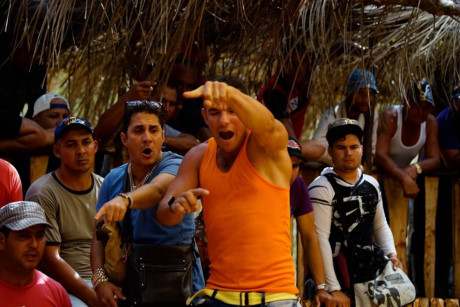 Sới gà ở Cuba kiếm bộn tiền nhờ người say gà chọi - Ảnh 2 Soi ga o Cuba kiem bon tien nho nguoi say ga choi - Anh 2