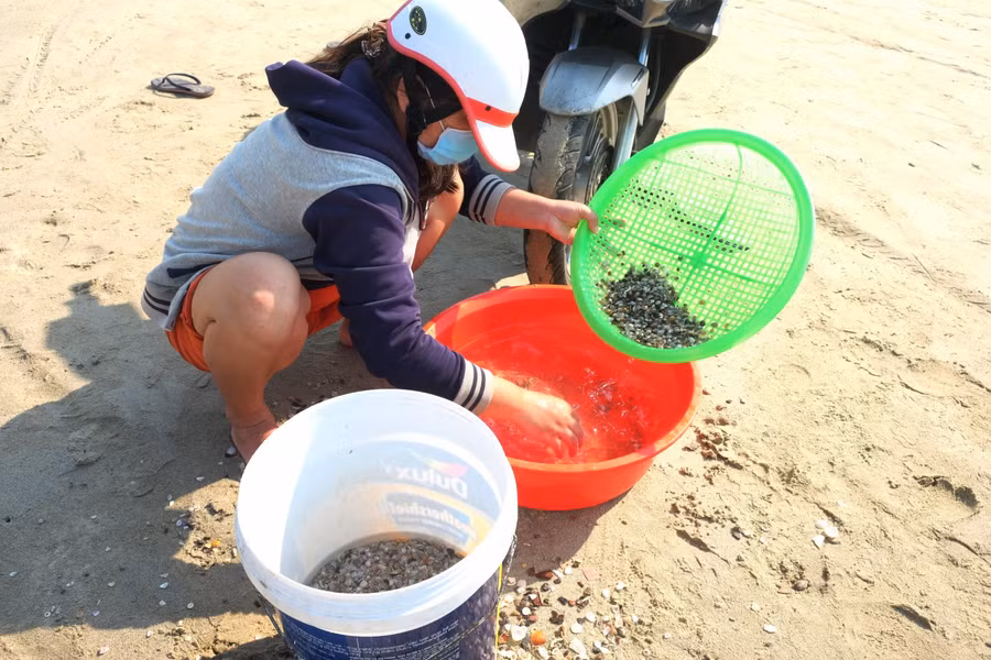 Sau khi cào xong, ngư dân sẽ bắt đầu đãi ốc để tách cát và các loại ốc mượn hồn ra