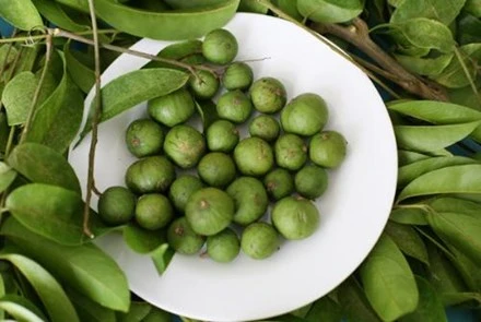 Bài thuốc chữa bệnh hiệu nghiệm từ quả sấu