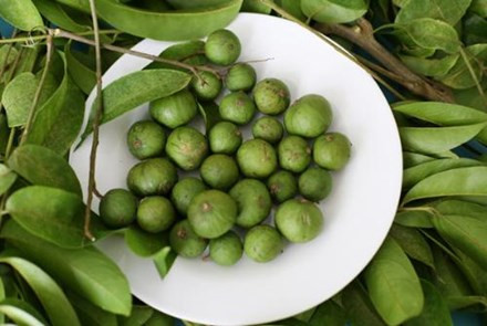 Ảnh minh họa: Internet