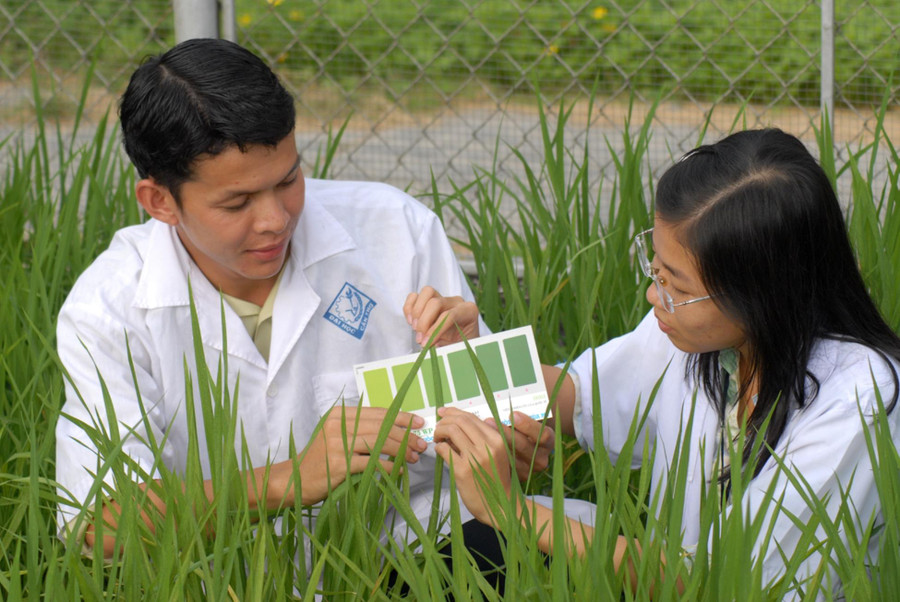 Một trong những nguyên nhân chính cản trở tiến trình “hóa rồng” của miền Tây Nam Bộ là “điểm nghẽn” về nhân lực. Trong ảnh sinh viên Khoa Nông nghiệp Trường ĐH Cần Thơ thực nghiệm.