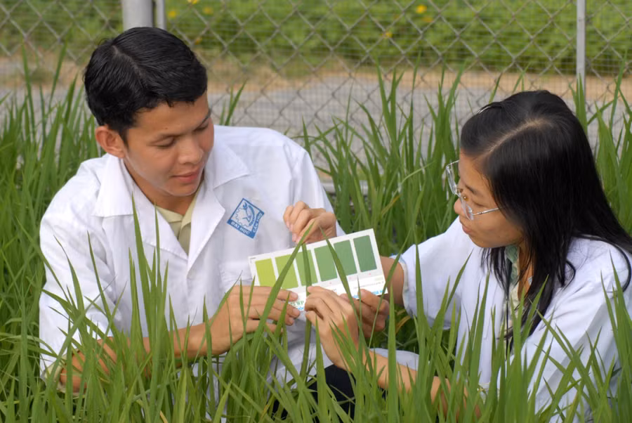 Một trong những nguyên nhân chính cản trở tiến trình “hóa rồng” của miền Tây Nam Bộ là “điểm nghẽn” về nhân lực. Trong ảnh sinh viên Khoa Nông nghiệp Trường ĐH Cần Thơ thực nghiệm.