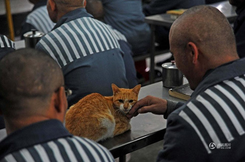 Cuộc sống tại trại quản thúc của những người già ở TQ ảnh 13 Cuộc sống tại trại quản thúc của những người già ở TQ - 13