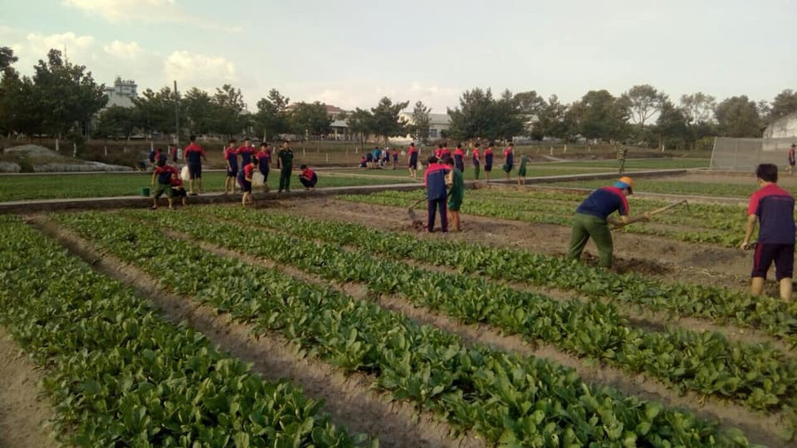 Cùng chăm sóc vườn rau Cùng chăm sóc vườn rau