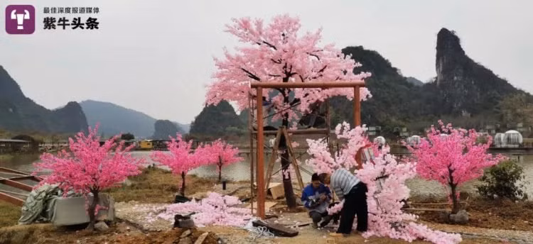 Xiao cải tạo khu đất bỏ hoang thành "đảo tình yêu".