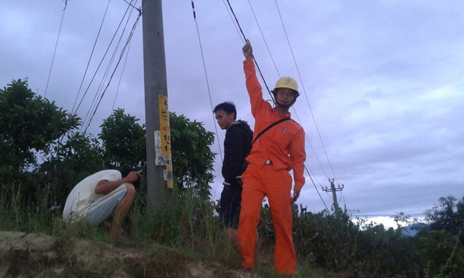 Hy hữu: Chim gây nổ trụ điện, cả xóm náo loạn