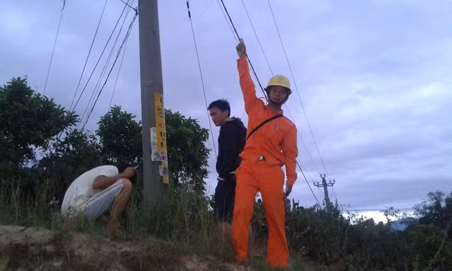 Hy hữu: Chim gây nổ trụ điện, cả xóm náo loạn ảnh 1