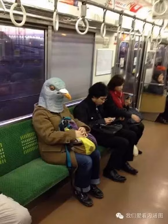 Cười bò với hình ảnh hài hước chỉ có trên tàu điện 8